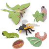 BRETOYIN Life Cycle of a Luna Moth and Bee - 8PCS Lifecycle Set Miniature Insect Lifecycle Collection Realistic Moth Family Educational Toy Figurines