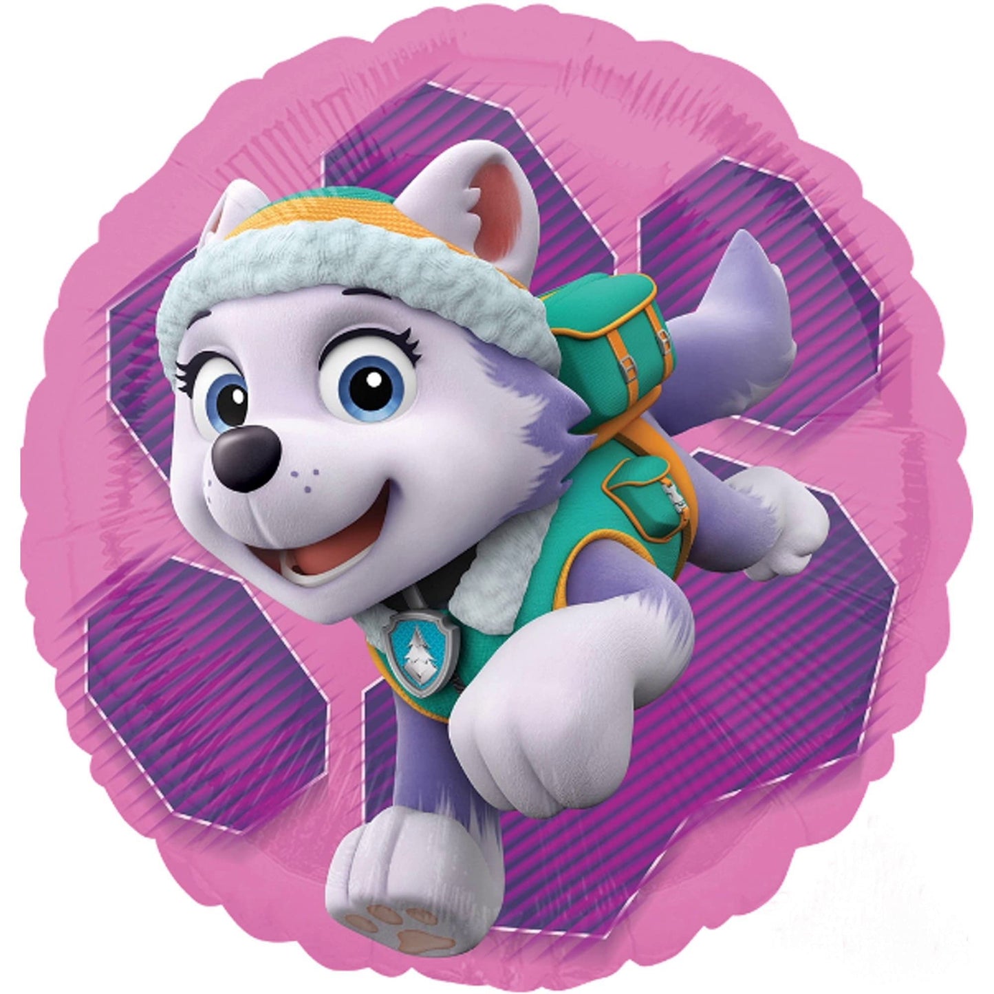 Skye Everest 3rd Birthday Party Supplies Girl Paw Pups on Patrol Balloons