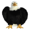 Aurora® Playful Wild Life Regal Eagle Stuffed Animal - Comforting Companion - Imaginative Play - Black 10.5 Inches