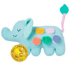 Birdsong Bilingual Baby Toy - Spanish & English Elephant Plush, Musical & Sensory Toy for Babies, Teaches First Verbs, Plays “Un Elefante” Lullaby