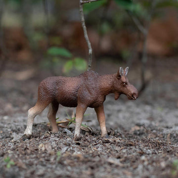 Safari Ltd. Cow Moose Figurine - Detailed 4.5" Plastic Model Figure - Fun Educational Play Toy for Boys, Girls & Kids Ages 1+