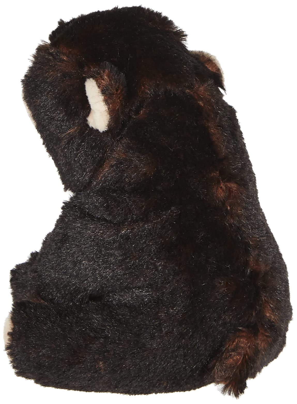 TY - Beanie Babies Brown Bear Kodi - 15 CM