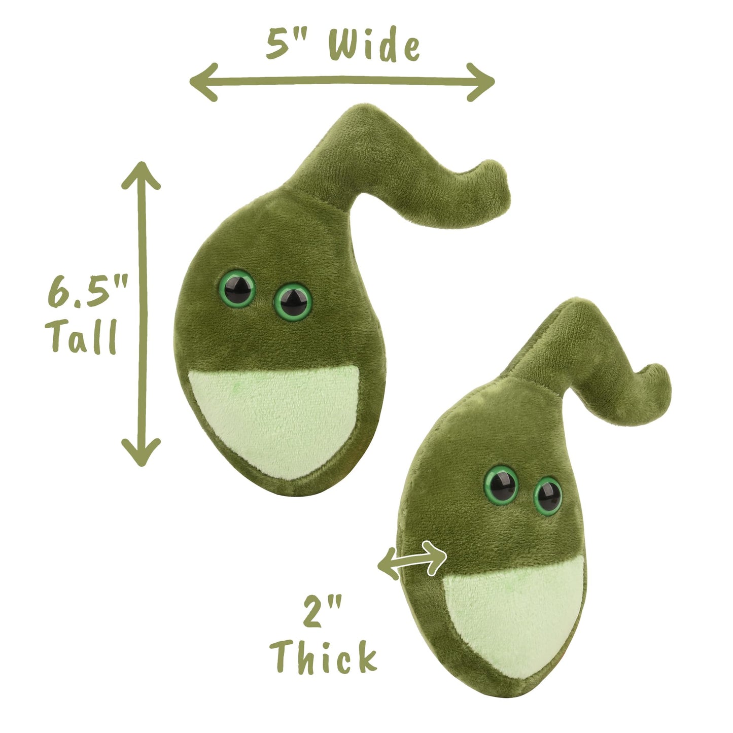 GIANT MICROBES Gallbladder Plush - Anatomy Gift, Medical Student Gifts