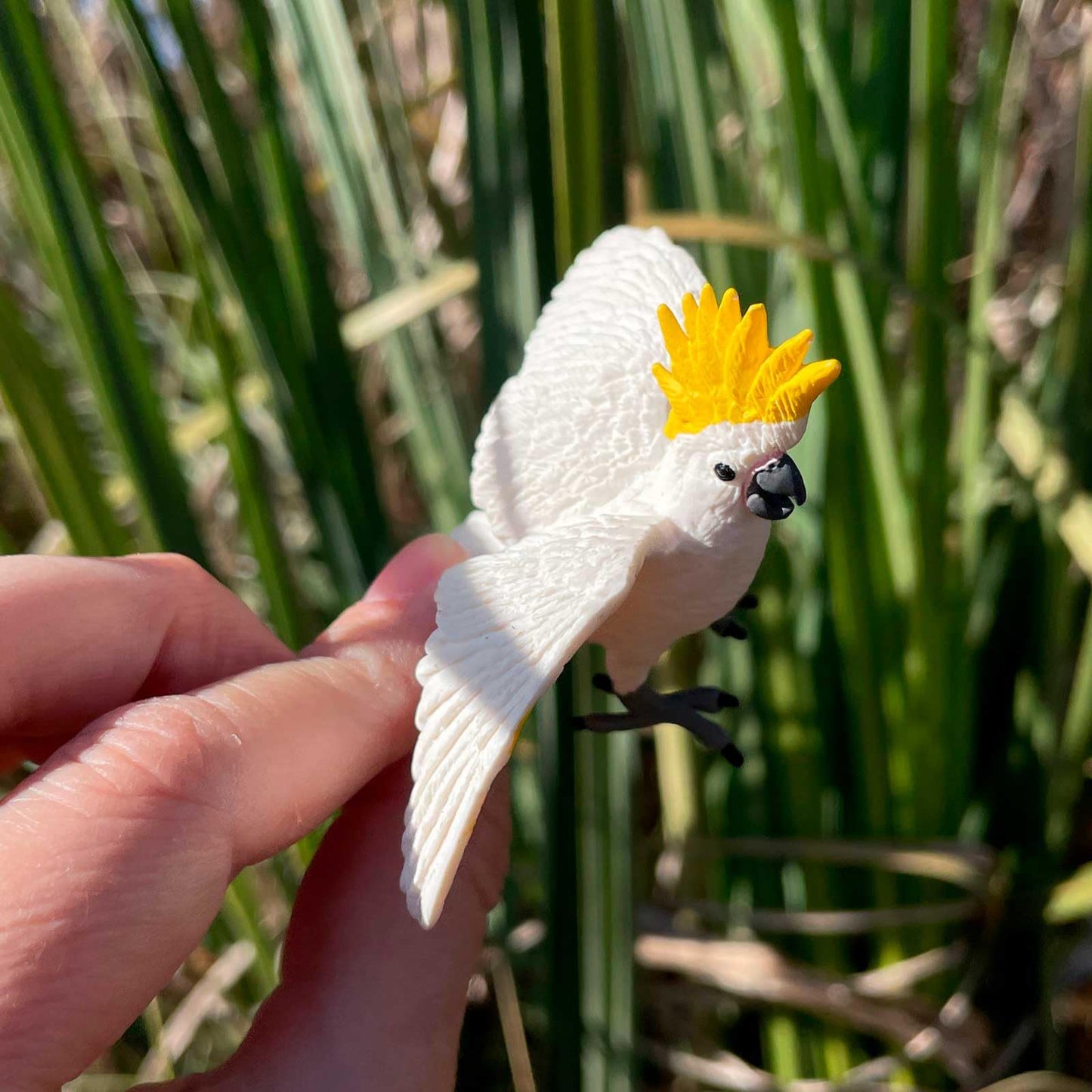 Safari Ltd. Cockatoo Figurine - Lifelike 3.75" Plastic Bird Figure - Educational Toy for Boys, Girls, and Kids Ages 3+