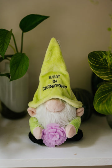 Punchkins Gnome Flower Plushie - What in Carnation for Plant Lovers Decor Plush