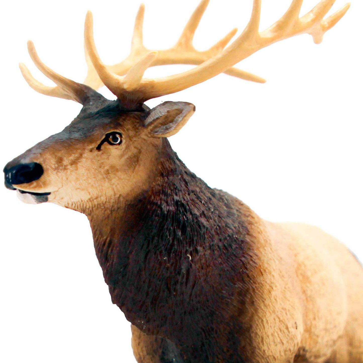 Safari Ltd. Elk Figurine - Realistic 8" Model Figure - Educational Toy for Boys, Girls & Kids Ages 3+