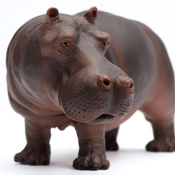 Safari Ltd. Hippopotamus Figurine - Realistic 5.5" Hippo Figure - Educational Toy for Boys, Girls, and Kids Ages 3+