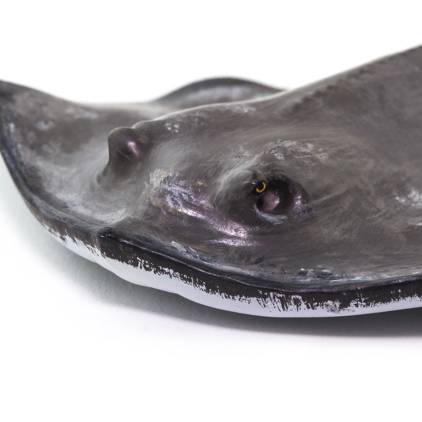 Safari Ltd. Common Stingray Figurine - Lifelike 7" Model Figure - Educational Toy for Boys, Girls, and Kids Ages 3+