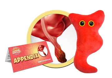GIANT MICROBES Appendix Plush - 6" Organ Toy for Surgery Recovery Gift