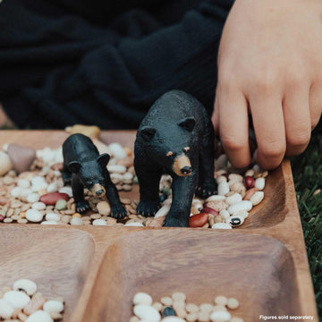 Safari Ltd. Black Bear Cub Figurine - Detailed 3" Plastic Model Figure - Fun Educational Play Toy for Boys, Girls & Kids Ages 1+