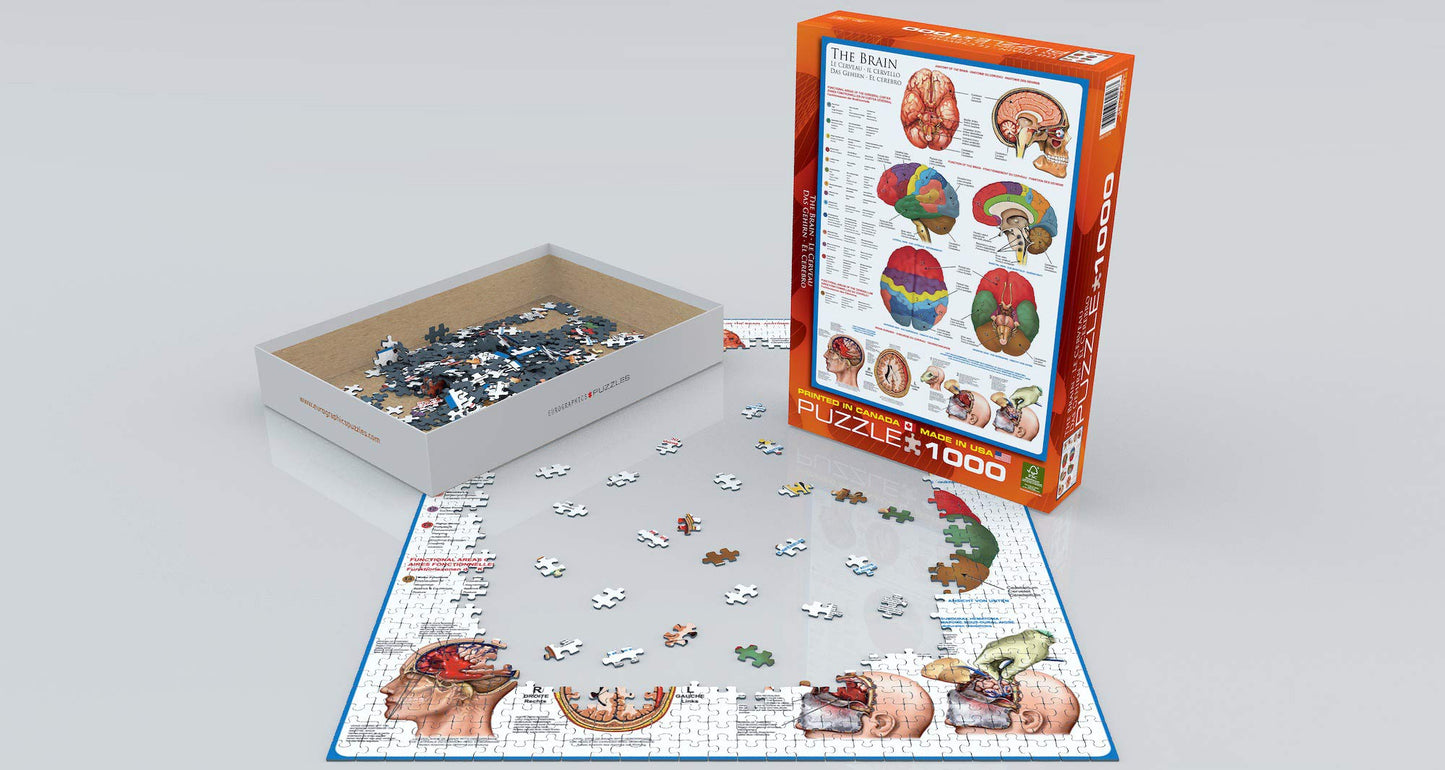 EuroGraphics, The Brain, 1000 Piece Puzzle