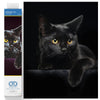 DIAMOND DOTZ Kits - Midnight Cat, Partial Drill, Round Dotz, Diamond Painting Kits, Diamond Art Kits for Adults, Gem Art, Diamond Art, Kits, 14"x11"