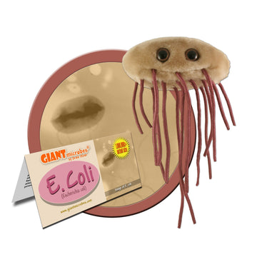 GIANTmicrobes E. Coli Plush, Microbiology Gifts, Gastroenterologist Gift, Gastroenterology Gifts, Gut Microbiome, Medical Laboratory Scientists, Petri