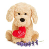 warmies Microwavable & Weighted Stuffed Animals, Dog Golden Be Mine - Heated Stuffed Animal Plushie for Warmth & Comfort - Cute Soft Plush Toys