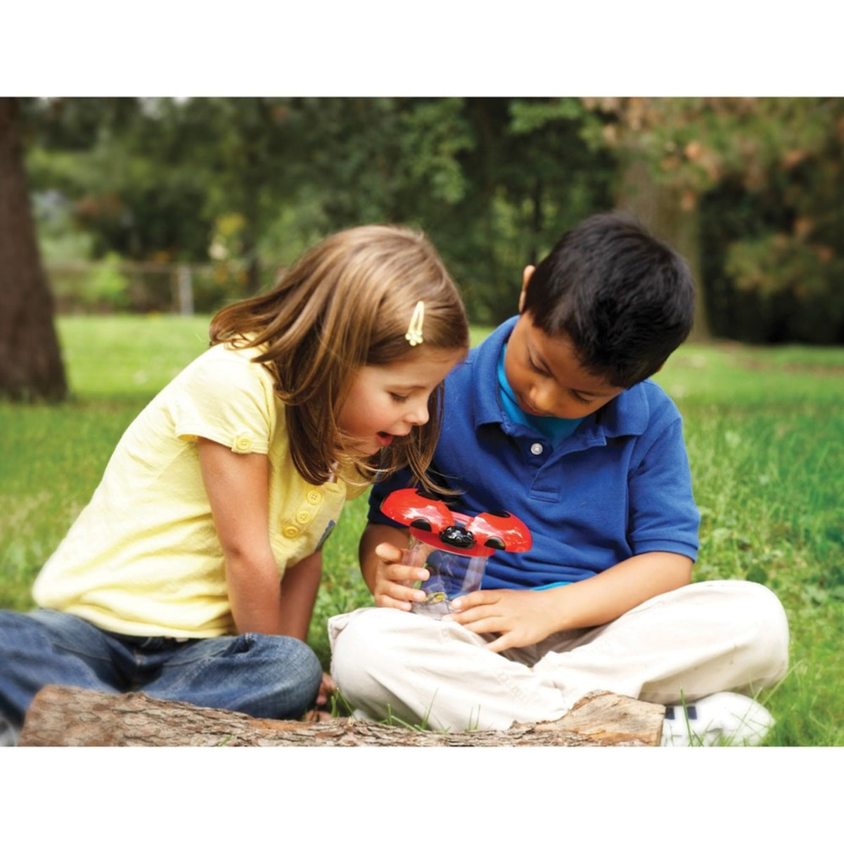 Learning Resources Big View Bug Jars 6/Set