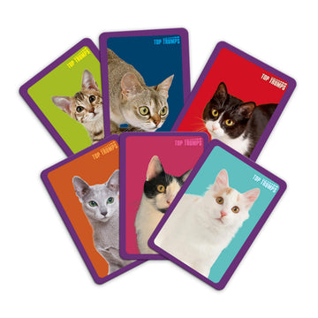 Top Trumps Match Game Cats - Family Board Games for Kids and Adults - Matching Game and Memory Game - Fun Two Player Kids Games - Memories