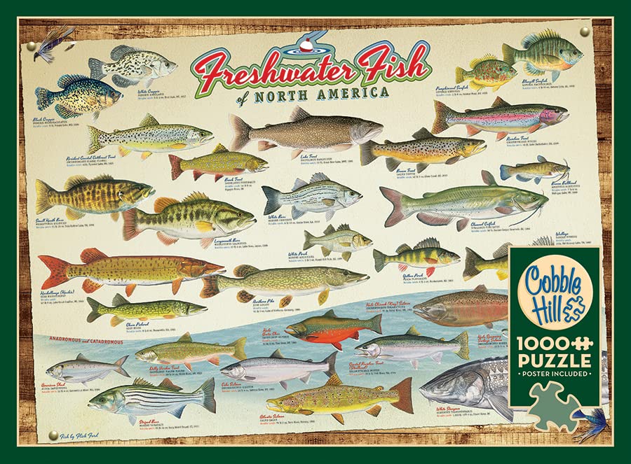 Cobble Hill 1000 Piece Puzzle - Freshwater Fish of North America - Sample Poster Included