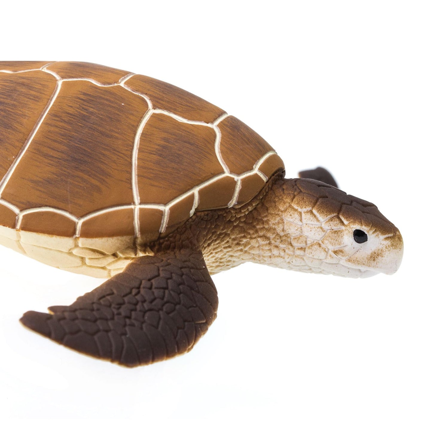Safari Ltd. Green Sea Turtle Figurine - Detailed 4" Plastic Model Figure - Fun Educational Play Toy for Boys, Girls & Kids Ages 1+