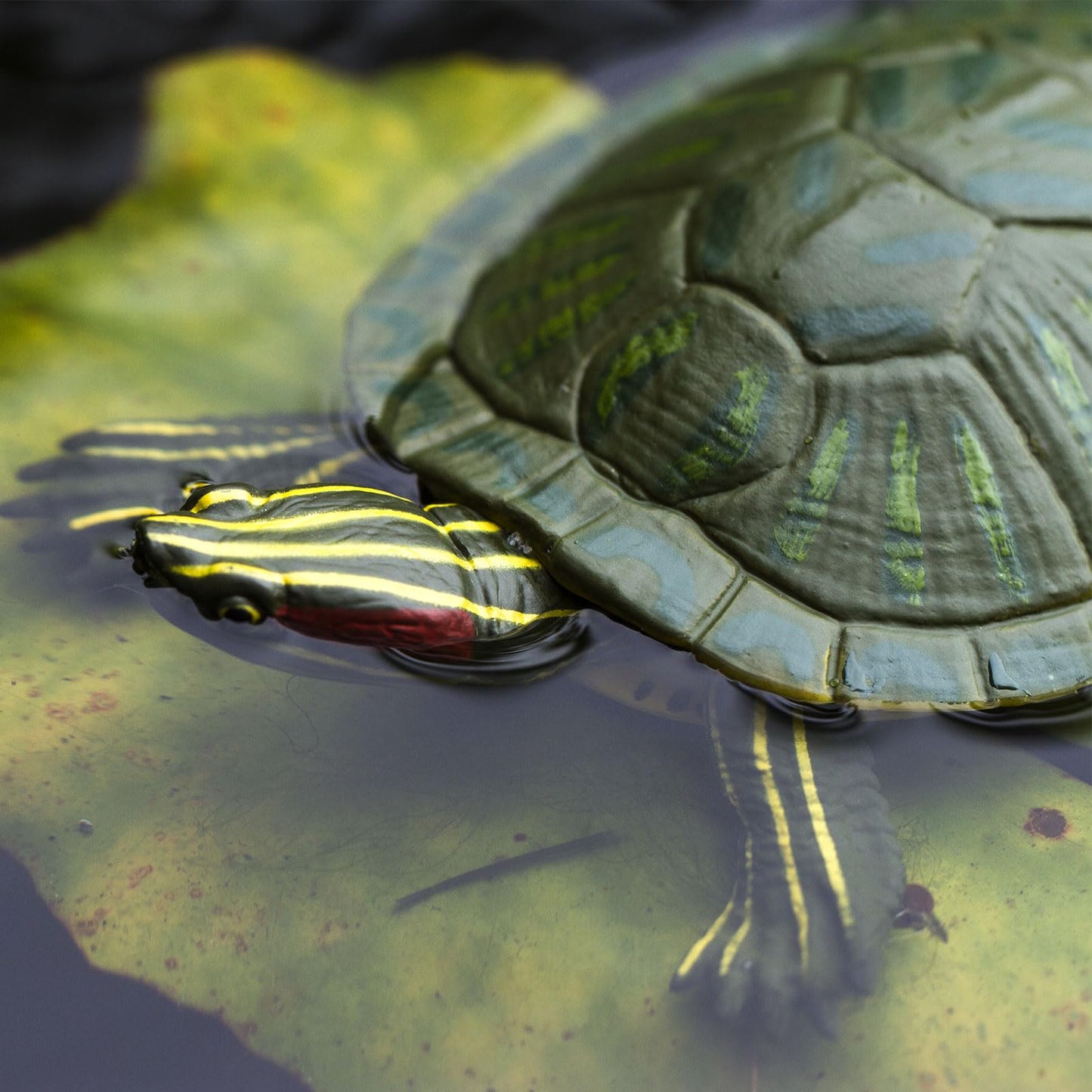 Safari Ltd. Red-Eared Slider Turtle Figurine - Realistic 5.25" Model Figure - Educational Toy for Boys, Girls, and Kids Ages 18M+