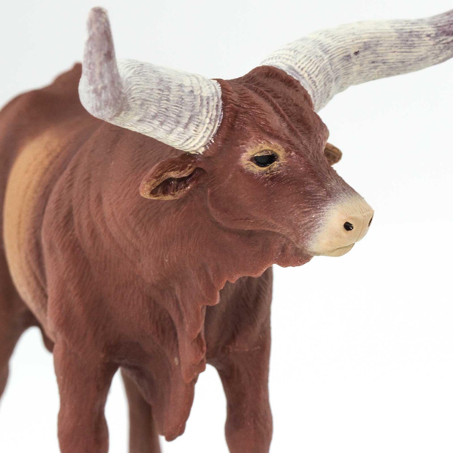 Safari Ltd. Watusi Bull Figurine - Detailed 6" Plastic Cow Figure - Educational Farm Animal Toy for Boys, Girls, and Kids Ages 3+