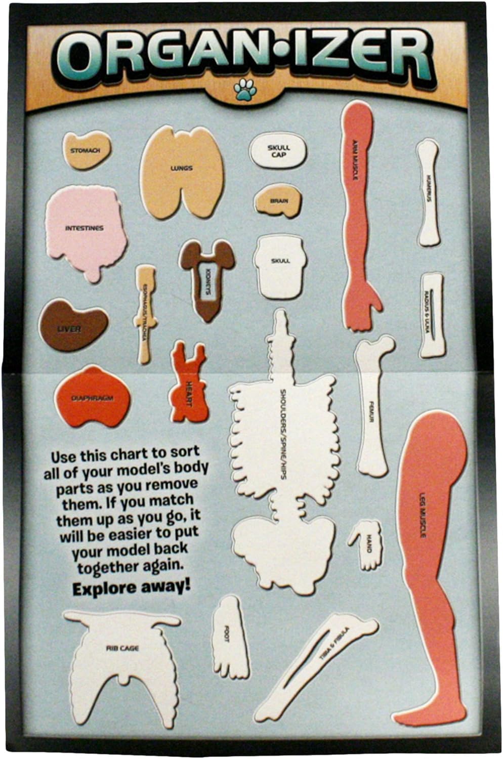 SMARTLAB Toys Squishy Human Body with 21 Removable Body Parts with Anatomy Book