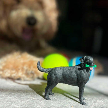 Safari Ltd. Black Labrador Retriever Figurine - Hand-Painted, Lifelike 3.75" Model Figure - Fun and Educational Toy for Boys, Girls & Kids Ages 3+