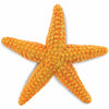 Safari Ltd. Starfish Figurine - Vibrant 4.5" Sea Star Figure - Educational Toy for Boys, Girls, and Kids Ages 3+