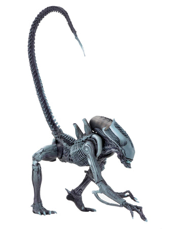 NECA - Aliens vs Predator (Arcade Appearance) - 7" Scale Action Figures - Arachnoid