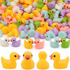 Yuronam 70 Pcs Mixed Color Mini Resin Ducks