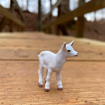 Safari Ltd. Kid Goat Figurine - Lifelike 2" Model Figure - Educational Toy for Boys, Girls, and Kids Ages 1+