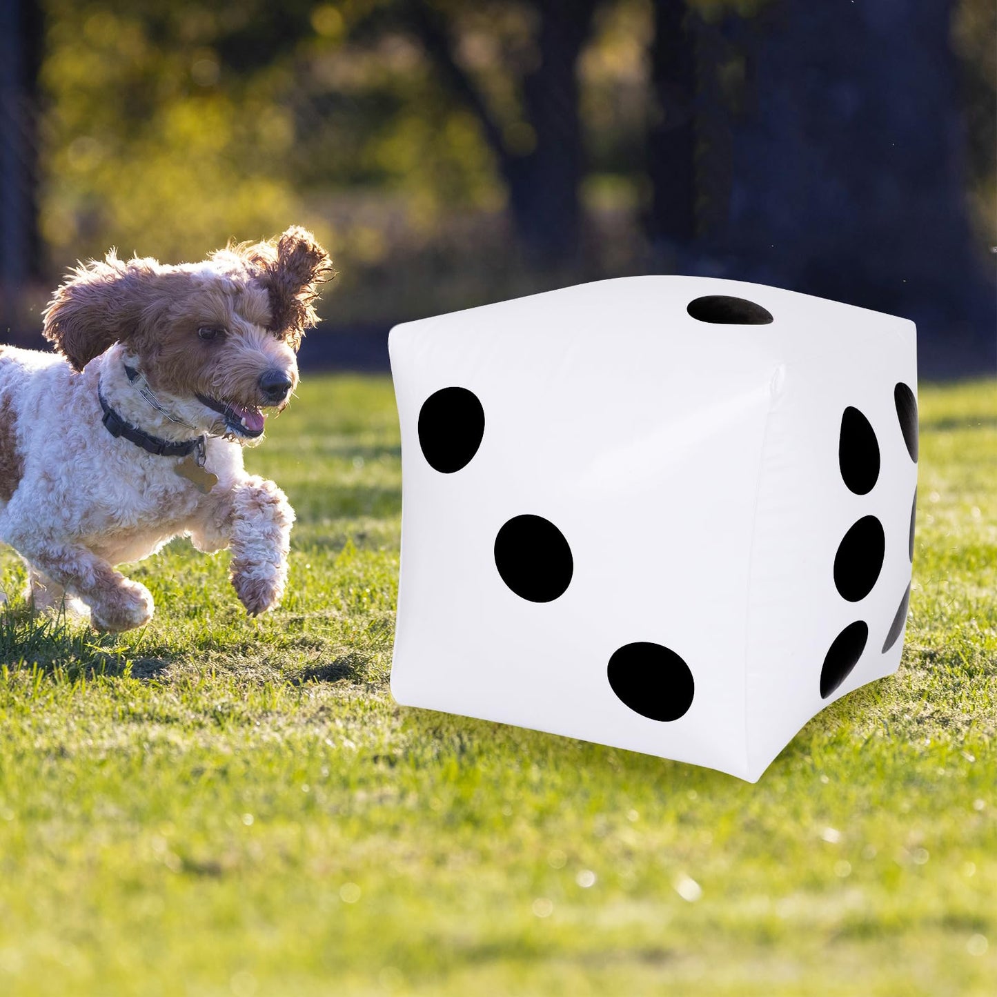 13 inch Giant Inflatable Dice Pool Toy for Lawn Game Outdoor Floor Games,Pack of 2