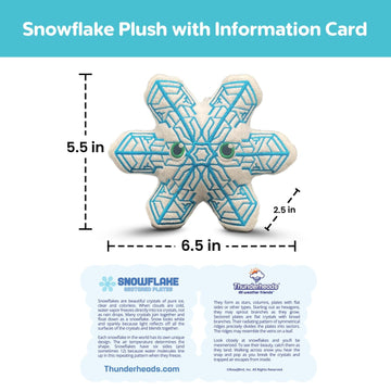Thunderheads Snowflake Plush, Sectored Plates Design, Nature-Inspired Fun Plushie with Educational Card, Sustainably Made Soft Earth Science Gift