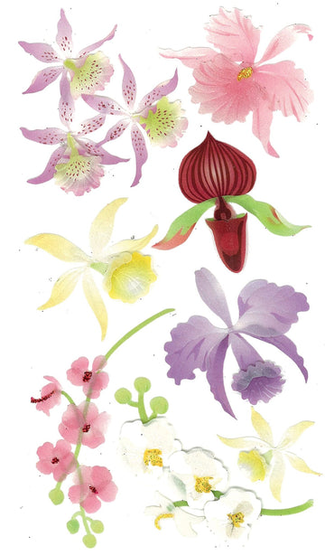 Jolee's Boutique (Jolly Boutique Colorful Orchids 50-50029