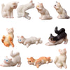 Pluzmecalm 10 Pcs Realistic Hand Painted Mini Cat Figurines Dollhouse Miniature Cats Figurine Set Cute Resin Kitten for DIY Home Landscape Cake Topper