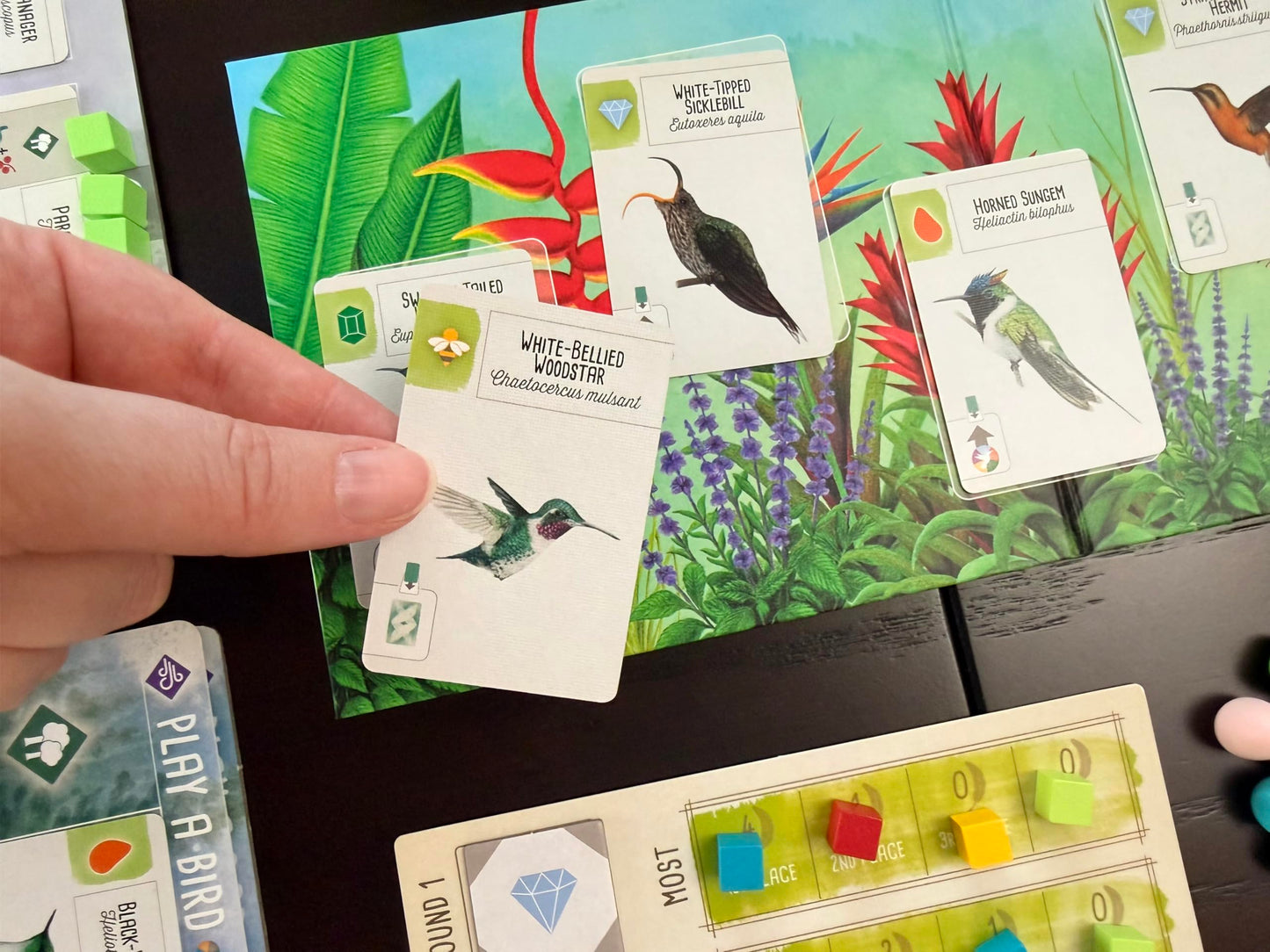 Stonemaier Games: Wingspan Americas Expansion by Elizabeth Hargrave | Add to Wingspan | Includes Small Hummingbird Cards with New Mechanism, 111