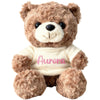 aoemgnj Personalized Teddy Bear with Embroidered Name, 10/12/16 Inch Custom Plush Stuffed Animal, Soft Huggable Gift for Birthday, Christmas