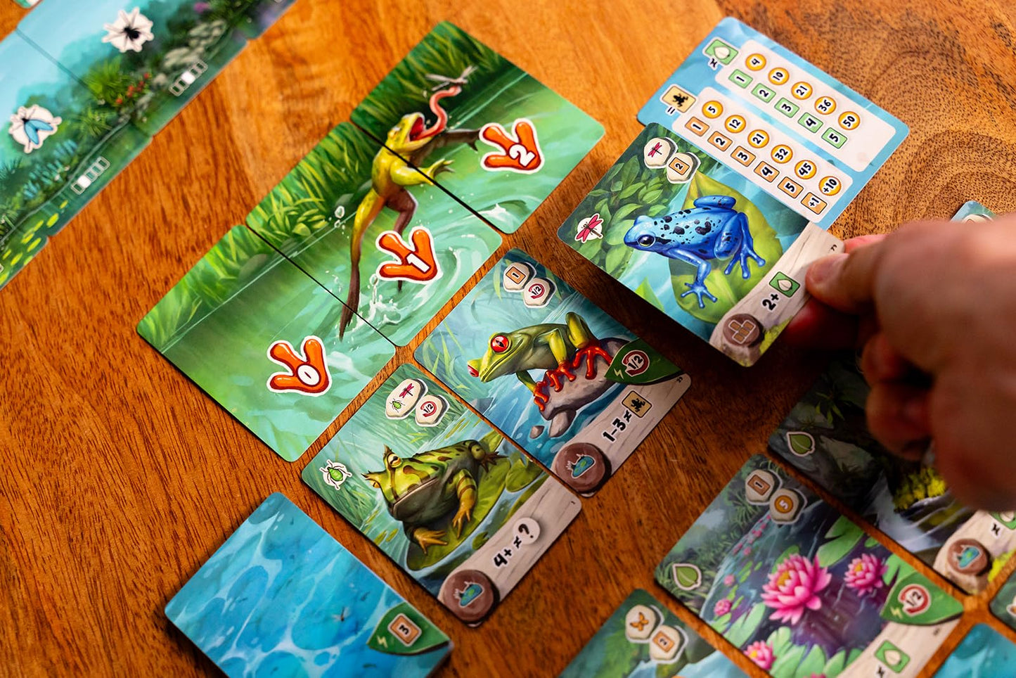 Capstone Games Pondscape - Strategy Card Game for Adults & Teens - 2 Player or More - Asymmetrical, Mystery, Role-Based & Thematic Card Game for Game