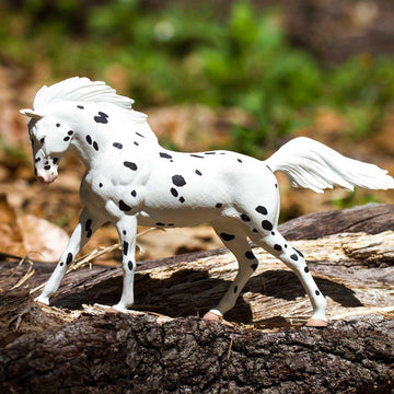 Safari Ltd. European Knabstrupper Horse Figurine - Realistic 7" Figure - Educational Toy for Boys, Girls, and Kids Ages 3+