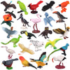 Warmshine 24 Pcs Realistic Bird Animals Figurines Mini Bird Figures Model Eagle Parrot Robin Owl Plastic Birds Figures Fairy Garden Accessories