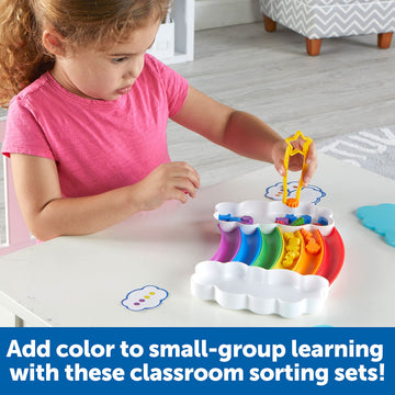 Learning Resources Rainbow Sorting Set Classroom Edition