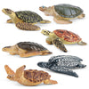 Toymany 6PCS Realistic Sea Turtle Figurines, Plastic Ocean Sea Animals Figures Set Includes of Turtles, Educational Toy Cake Toppers Christmas