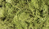 Woodland Scenics Lichen GRN, Light Green,L162