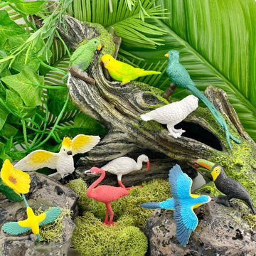 Safari Ltd. Exotic Birds TOOB - 10 Figurines: Parakeet, Quetzal, Macaw, Hummingbird, Toucan, Cockatoo, Flamingo, Snowy Owl, Parrot - Educational Toy