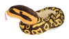Wild Republic Snakes, Snake Plush, Stuffed Animal, Plush Toy, Gifts for Kids, Ball Python, 54"