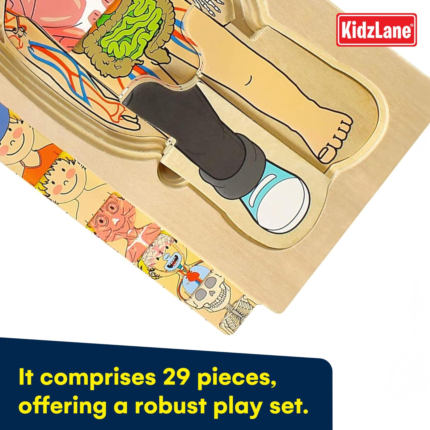 Kidzlane Boy Wooden My Body Puzzle for Toddlers & Kids - 29 Piece Boys Anatomy Puzzle Kid Play Set - Anatomy for Kids, Skeleton Toys for Children Ages