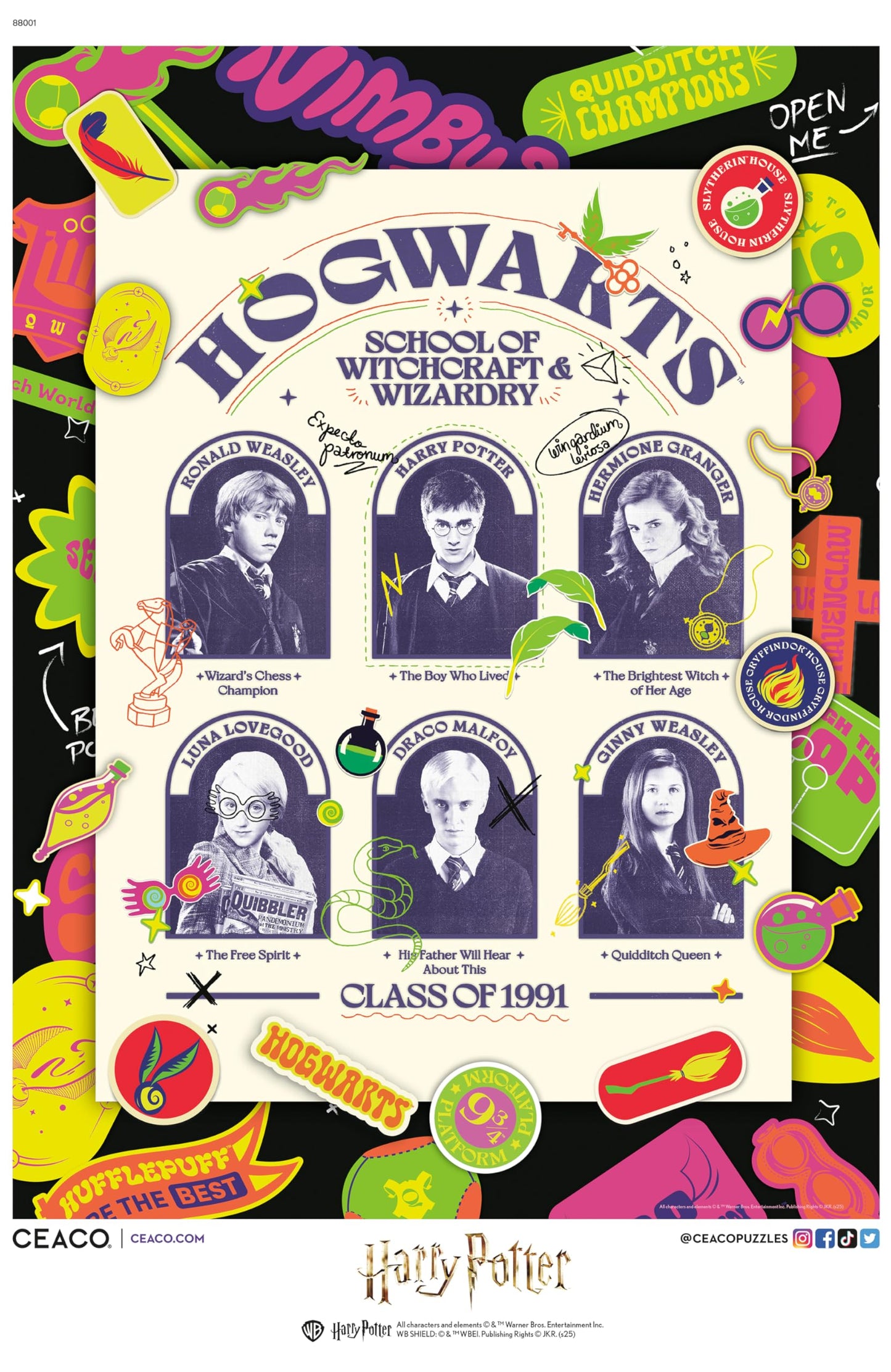 Ceaco - Hogwarts Class of 1991-1000 Piece Jigsaw Puzzle for Adults