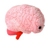 GIANT MICROBES Gigantic 17" Brain Organ Plush, Gift for Med Student, Gifts for Neurologist, Brain Surgery Recovery, TBI Awareness, Neurology Gifts