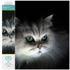 DIAMOND DOTZ Shadow Cat Diamond Painting Kits for Adults - Diamond Art Kits a Relaxing Creative Craft Kit with Dotz Gems 9.8x12.6