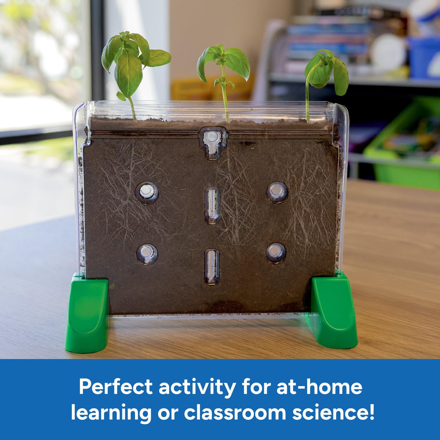 Educational Insights Sprout & Grow Window - See-Through Sprouts Growing Kit, Kids Gardening Set, Kid-Friendly Science Kits, Root Viewer, Gardening Kit