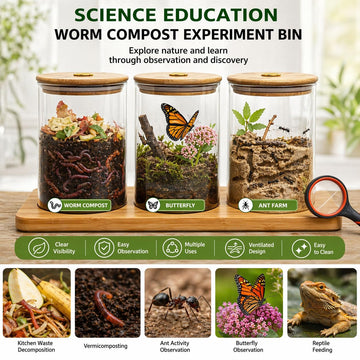 Science Education Worm Compost Experiment bin, Waste Decomposition into composting kit, ant Farming Plant
